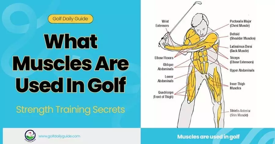 what-muscles-are-used-in-golf