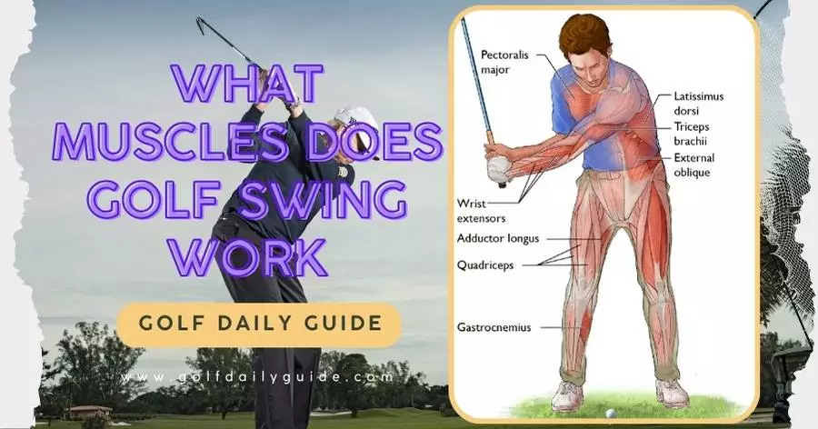 What muscles does golf swing work