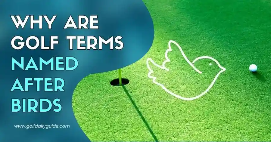 Why are golf terms named after birds